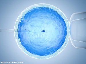 关于木棉医疗中心